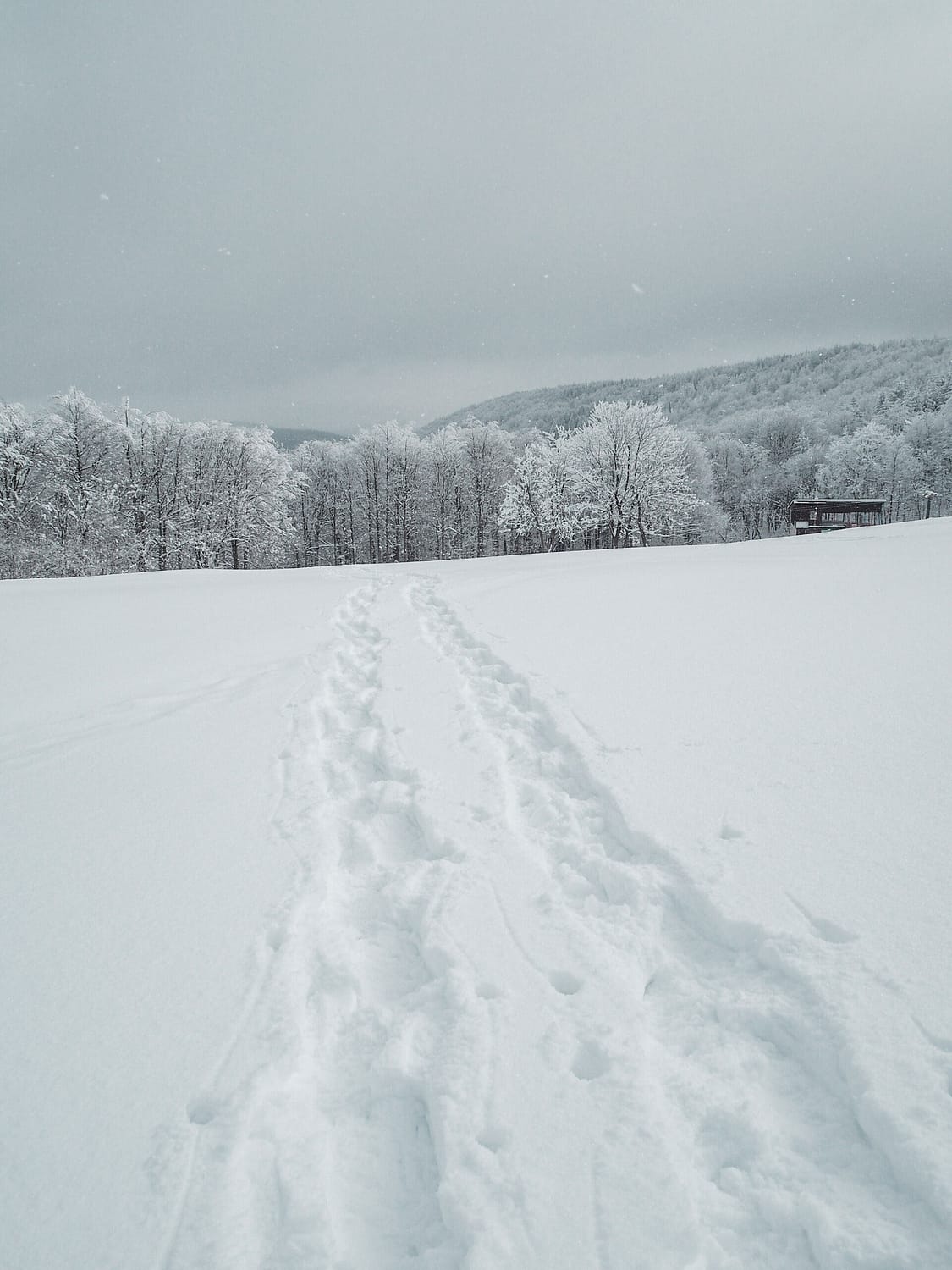 Sněžnice - Krušné hory - Jiráci na cestách